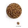 ACANA Adult Large Breed - sausā suņu barība - 11,4kg