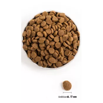 ACANA Adult Large Breed - sausā suņu barība - 11,4kg