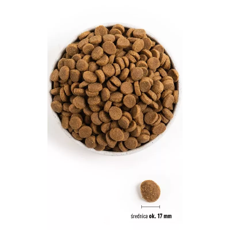 ACANA Adult Large Breed - sausā suņu barība - 11,4kg