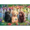 sweet puppy scene, Puzzle 1000 gab.