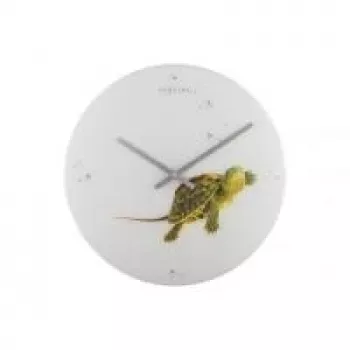 NeXtime klok 8137 Turtle, Ø43 cm, Wall, Balts/ Green