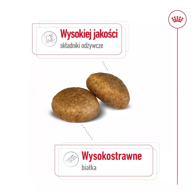 Royal Canin Maxi Adult sausā barība suņiem, 15 kg