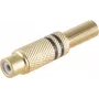 RCA Kontaktdakša ShiverPeaks BS52021-S Zelts Sieviešu