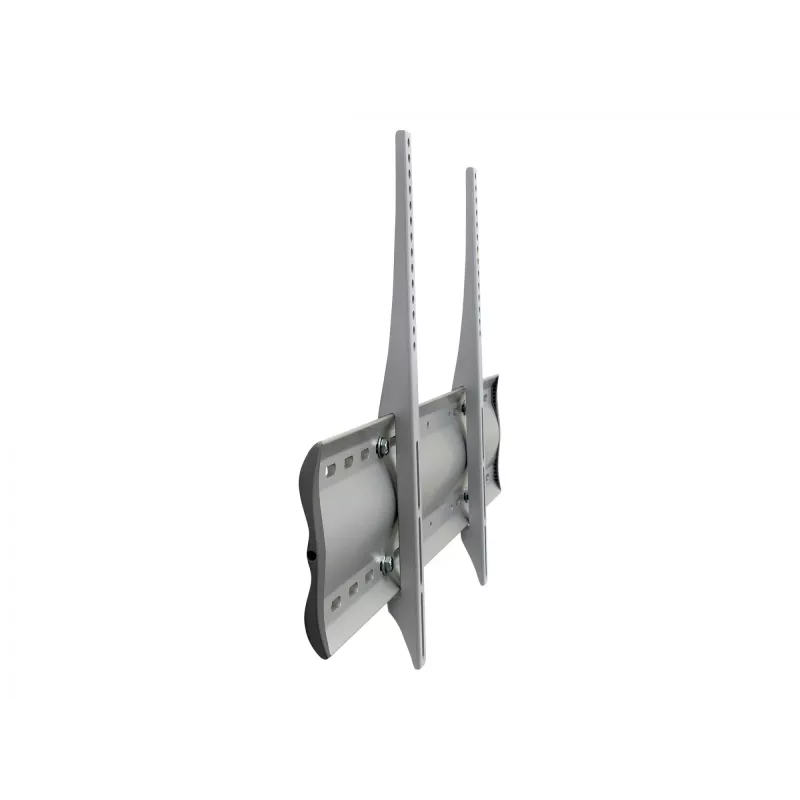 Ergotron 60-604-003 Sudraba