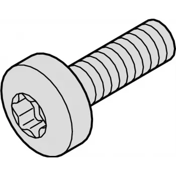SCHROFF SKRŪVE TORX COL.M2.5X12.3 100X - Rack-Accessory (21101783)