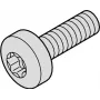 SCHROFF SKRŪVE TORX COL.M2.5X12.3 100X - Rack-Accessory (21101783)