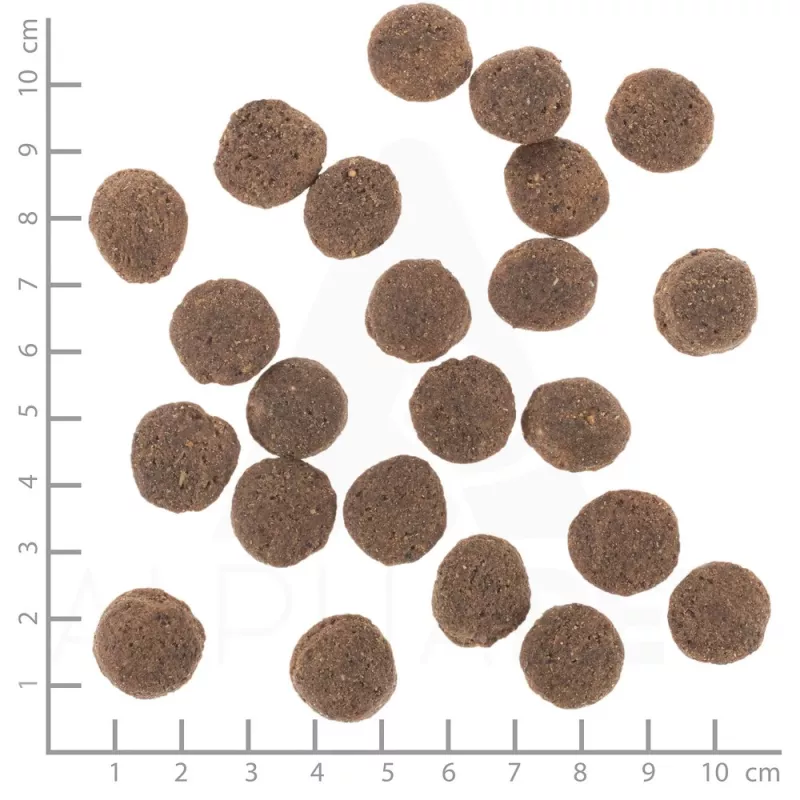 WOLFSBLUT VetLine Hypoallergenic Horse ar saldajiem kartupeļiem - sausā suņu barība - 2kg