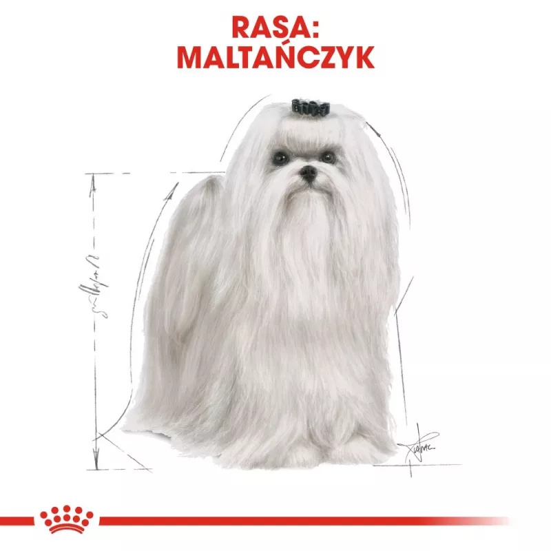 Sausā suņu barība Royal Canin Maltese Adult 1.5 kg — vista, 24% olbaltumvielu, 18% tauku