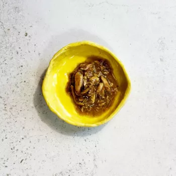 Ollo Tuncis ar jūraszālēm buljonā Nr. 8 70g