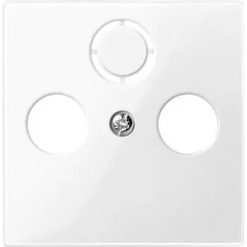 Sienas plāksne / slēdža pārsegs Merten 296719, balta termoplastiska, vienvietīga, 1 gab.