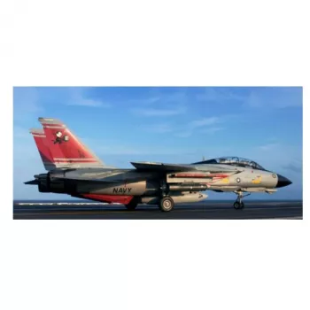 Revell F-14D Super Tomcat plastmasas modeļa komplekts, 1:72