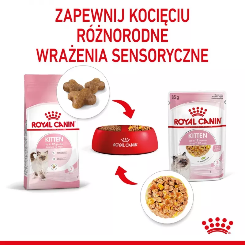 Mitrā kaķēnu barība Royal Canin Kitten Jelly 85 g — vistas garša, 85 g paciņa, 12 gab.