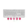 CHERRY KC 1000 tastatūra mājām USB Šveices pelēka