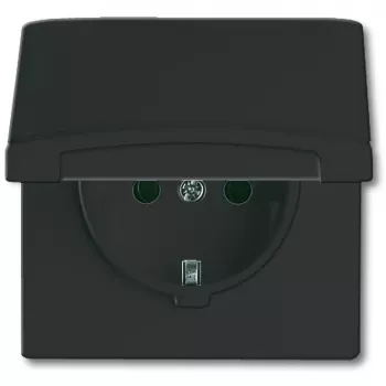 Busch-jaeger 2CKA002064A0290 melna