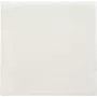 PAPSTAR salvetes Daily Collection baltas 2-kārtu 16,0 x 16,0 cm 150 gab. (89636)
