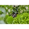 Šļūtenes turētājs Gardena 13218-20 Melns, novietošanai uz zemes