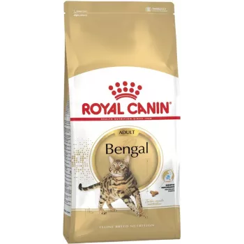 Sausā kaķu barība Royal Canin Bengal Adult 10 kg — vista, 40% olbaltumvielu, 18% tauku