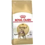 Sausā kaķu barība Royal Canin Bengal Adult 10 kg — vista, 40% olbaltumvielu, 18% tauku