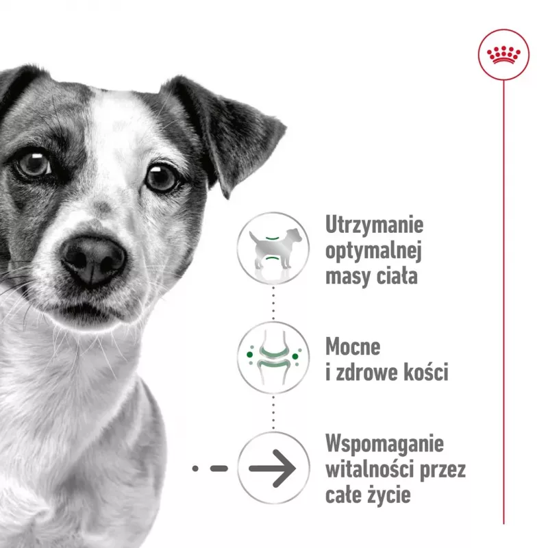 Mitrā suņu barība Royal Canin Mini Ageing 12+ Adult paciņā 85 g — mazām šķirnēm, mājputnu, senioriem