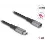 Delock - USB pagarinātājkabelis - 24 kontaktu USB-C (tēviņš) uz 24 kontaktu USB-C (mātīte) - USB 2.0 / USB 3.2 / USB4 / Thunderbolt 3 5 A - 1,0 m - Melns, Pelēks (81201)