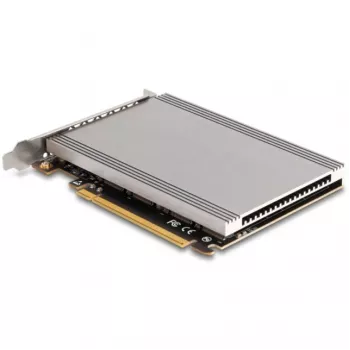 Interfeisa karte DeLOCK 90210