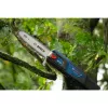 Stieņa zāģis Bosch GKE 18V-25 TP — 25 cm griešanas garums, bezvada 18V (06008D6000)
