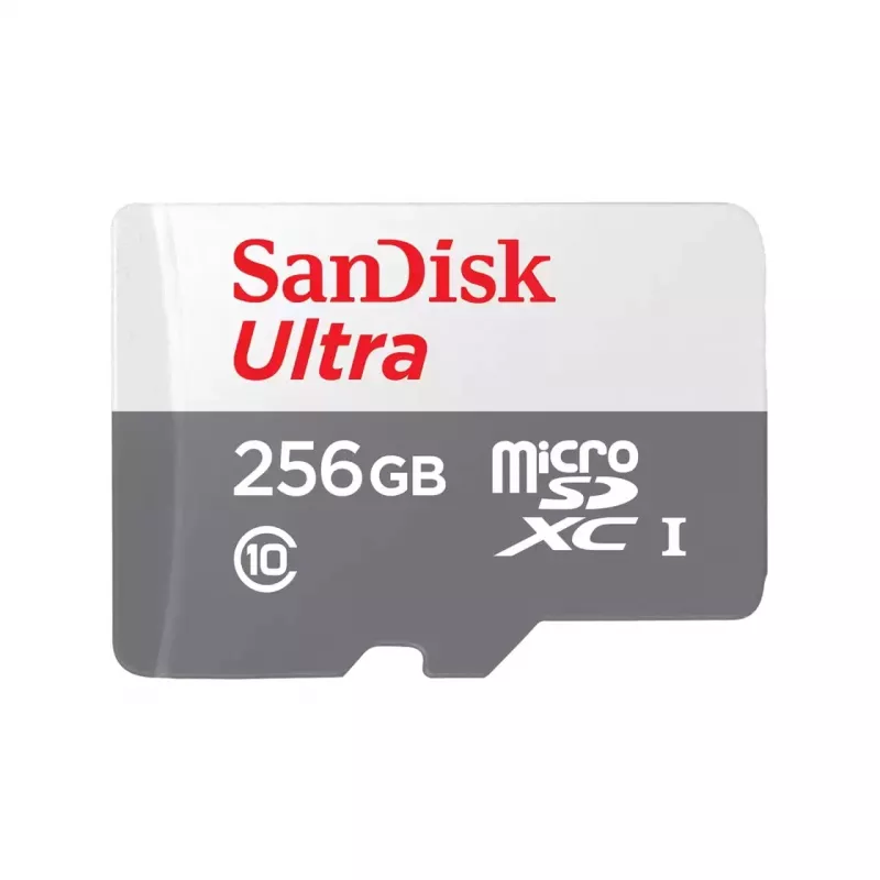ATMIŅA MICRO SDXC 256GB UHS-I/SDSQUNR-256G-GN3MN SANDISK