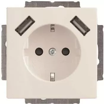 Busch-Jaeger SCHUKO-2x USB kontaktligzda 20 EUCB2USB-84 (2CKA002011A6273)
