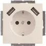 Busch-Jaeger SCHUKO-2x USB kontaktligzda 20 EUCB2USB-84 (2CKA002011A6273)