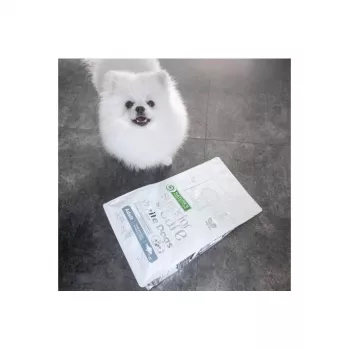 Sausā suņu barība nature’s protection balta Dogs GF balta Fish Adult Small 4 kg — bez graudiem, olbaltumvielas 24%, tauki 13%