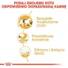 Sausā kaķu barība Royal Canin Siamese 2 kg — Pieaugušiem, Putnu gaļa, Olbaltumvielas 38%, Tauki 16%