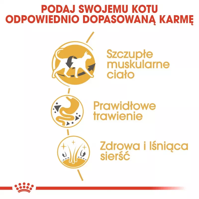 Sausā kaķu barība Royal Canin Siamese 2 kg — Pieaugušiem, Putnu gaļa, Olbaltumvielas 38%, Tauki 16%