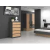 Kumode Topeshop M5 ANTRACYT/ARTISAN 5 atvilktnes, antracīta ozols, 700×1095×400 mm