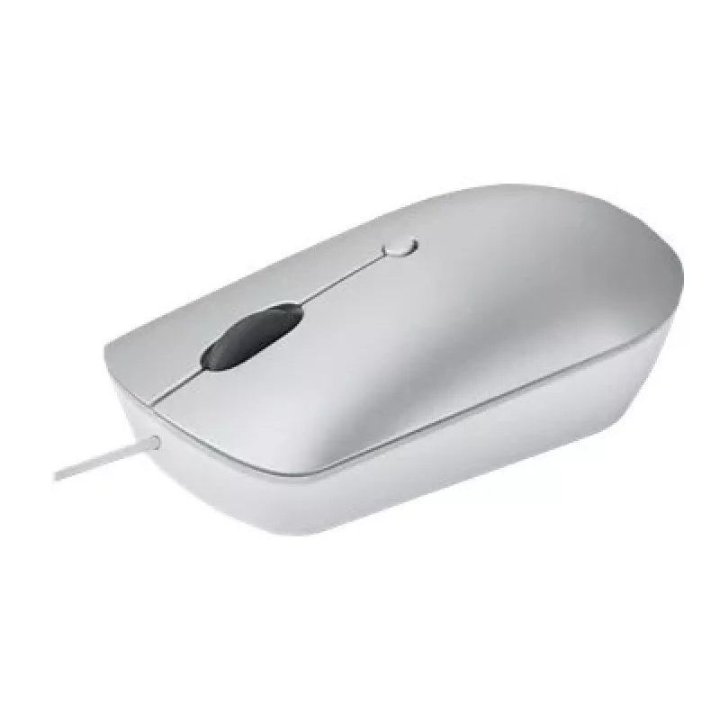 Vadu optiskā pele piemērota abām rokām Lenovo 540 USB Type-C, 3 DPI režīmi, pelēka, 4 pogas, 1,8 m kabelis