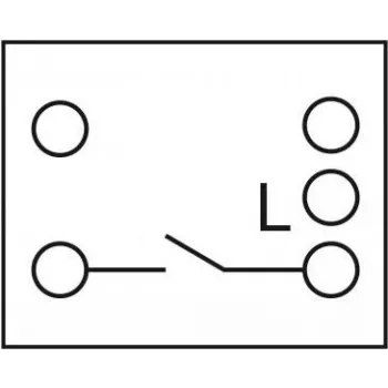 Delock - Easy 45 - Druckschalter - 1 Kippschalter - 10 A - AC 250 V - Balts, RAL 9003 (81359)