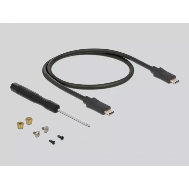 SSD korpuss DeLOCK 42003 ārējais korpuss M.2 SATA SSD ar USB Type-C