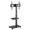 Gembird TVS-75S-02 televizora grīdas statīvs ar ritenīšiem, 37–75 inch, melns