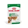 Mitrā suņu barība Royal Canin Mini Ageing 12+ Adult paciņā 85 g — mazām šķirnēm, mājputnu, senioriem