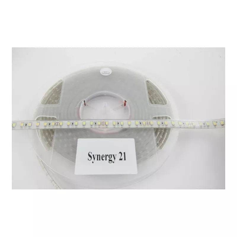 Synergy 21 LED Flex lente 3528 - 120 KW DC12V 48W IP62