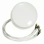ALLNET antena 2,4/5 GHz 4dBi DualBand Spatial Diversity MIMO griestu antena HG2458-4SDC-RSP