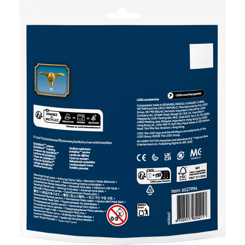 LEGO Harija Potera komplekts 30706 Kalambola nodarbība ar Harija un Drako minifigūrām