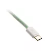 Ducky Premicord USB kabelis 1,8 m USB A USB C Zils Zaļš