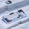 VGN V98 Pro spēļu tastatūra, Arctic Fox - ierobežotā izdevuma (US)