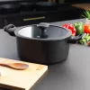 Stockpot Russell Hobbs RH01864EU7 24 cm Crystaltech