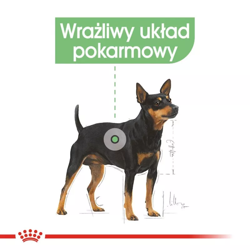 Sausā suņu barība Royal Canin Mini Digestive Care 3 kg — mazas šķirnes, mājputnu gaļa, pieaugušiem, gremošanas atbalsts