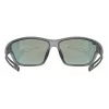 Uvex sporta brilles Unisex pilna ietvara pelēkas Uvex 5330872213