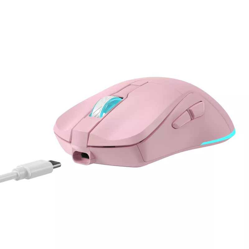 Pele Baracuda BGM-124 Turtle Pink TURTLE-P