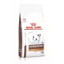 Sausā suņu barība Royal Canin Gastrointestinal Low Fat Small 3,5 kg — veterinārā diēta maziem pieaugušiem suņiem, zems tauku saturs 7%, olbaltumvielas 22%