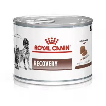 Royal Canin Recovery mitrā barība suņiem un kaķiem, 195 g
