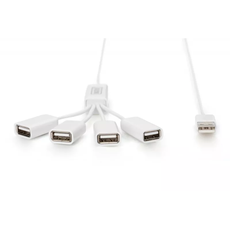 Delock USB adapteris - USB Type-A (siev.) uz 24 kontaktu USB-C (vīr.)